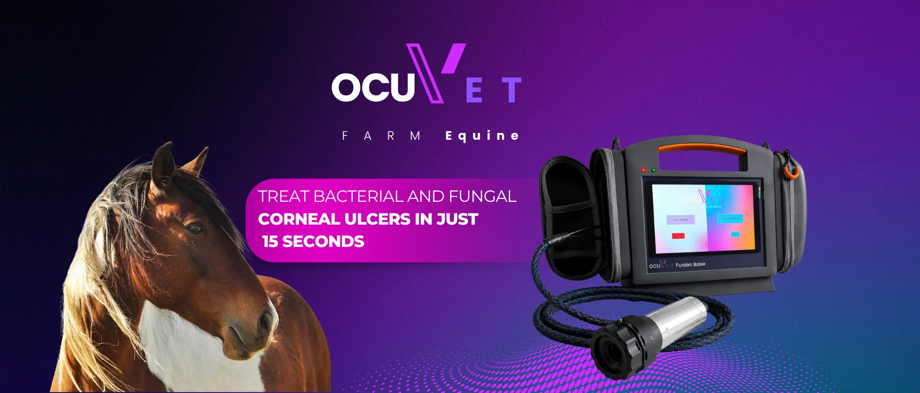 OCU-VET Farm – Equine Treatment